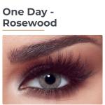 BELLA-ONE DAY 11 couleurs