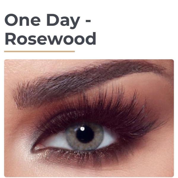 BELLA-ONE DAY 11 couleurs