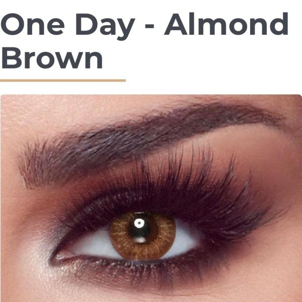 BELLA-ONE DAY 11 couleurs